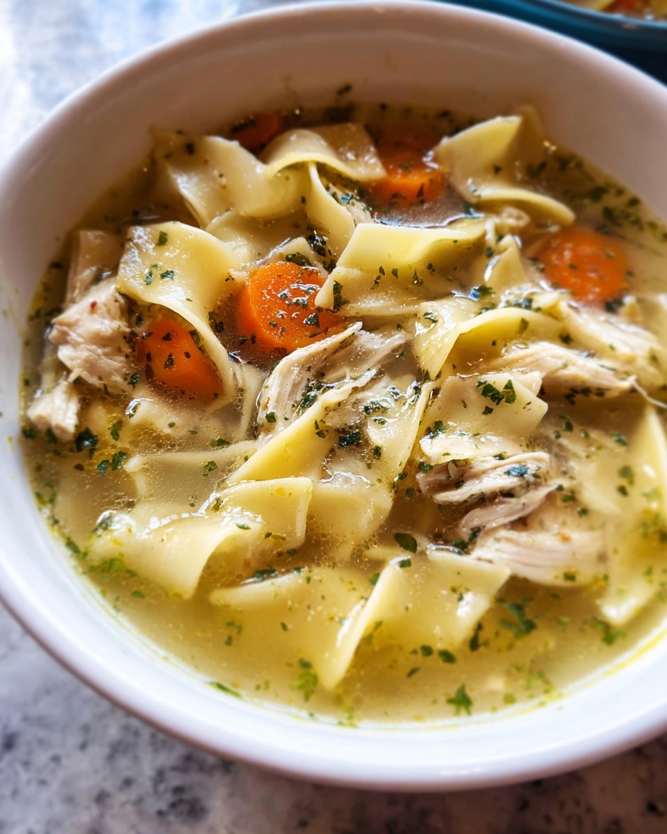 Instant Pot Chicken Noodle Soup Recipe - Recipe Image