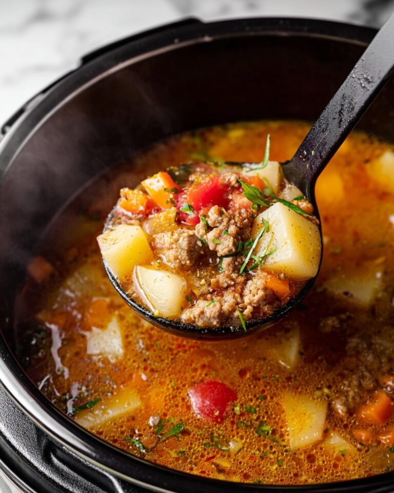 Instant Pot Hamburger Soup Recipe